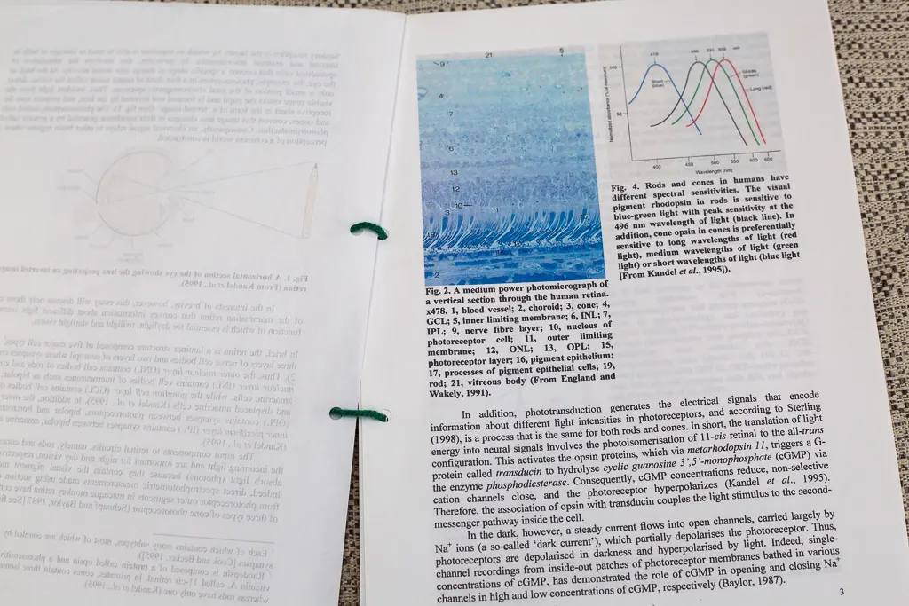 How to Write a Research Proposal