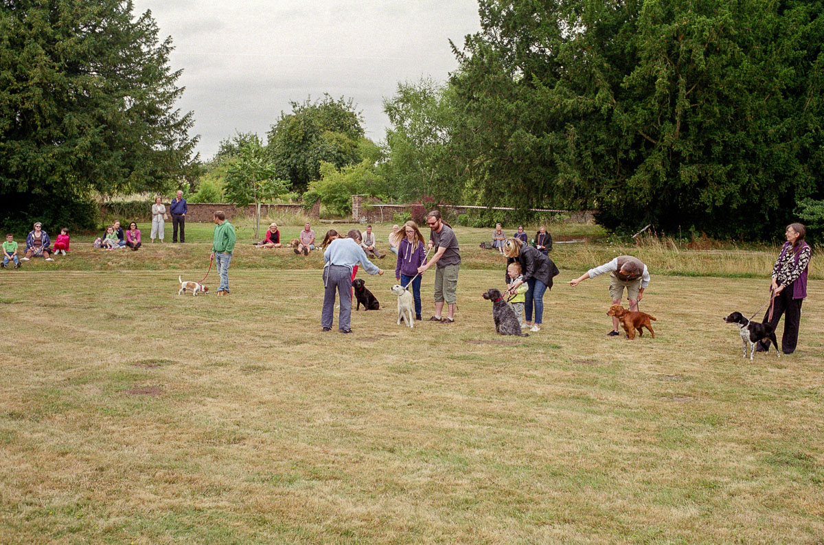 Little Hereford Summer Fête: Dog Show