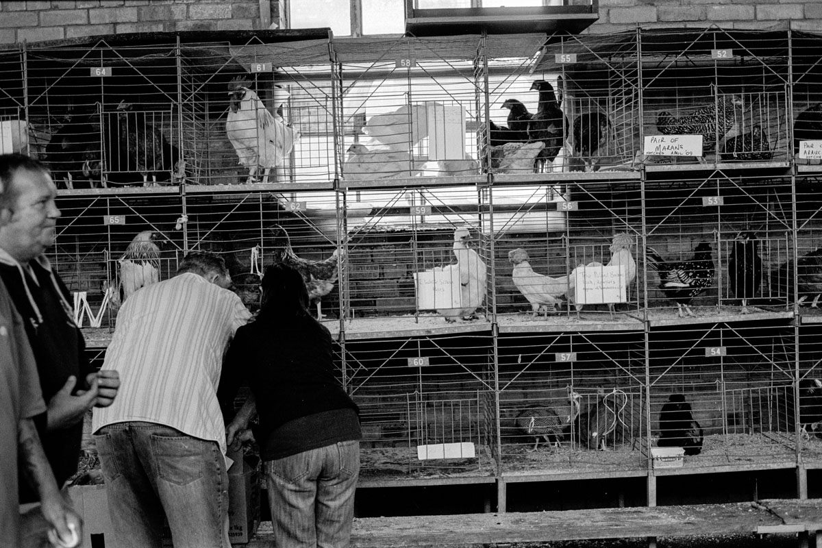 Farmers Inside Hereford Poultry Auction