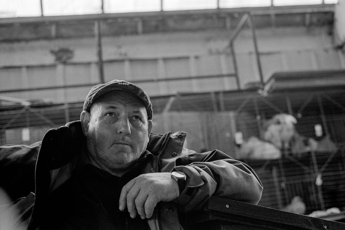 A Farmer Inside Hereford Poultry Auction