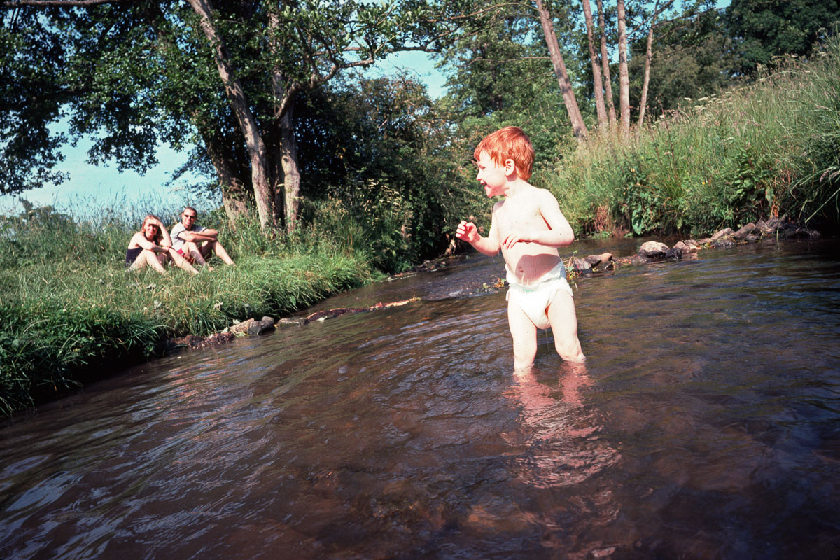 Kodachrome: Summer Greens