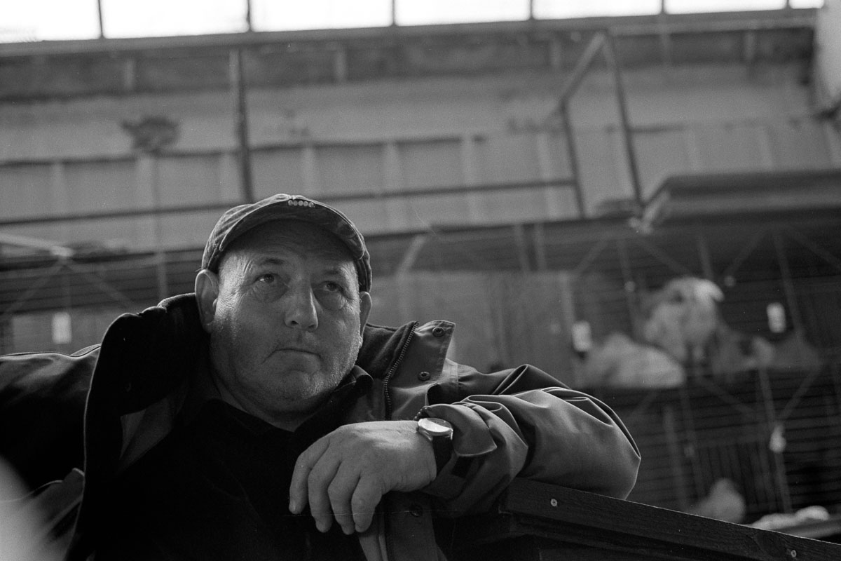 Farmer inside Hereford Poultry Auction
