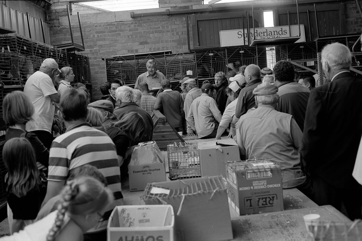 Inside Hereford Poultry Auction: Sunderland Salerooms