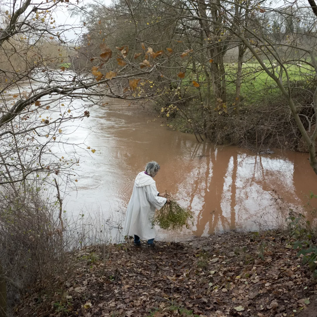 Tenbury Mistletoe Festival