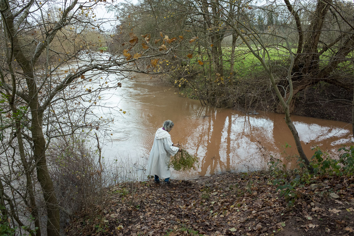 A Druid casts the mistletoe into the River Teme