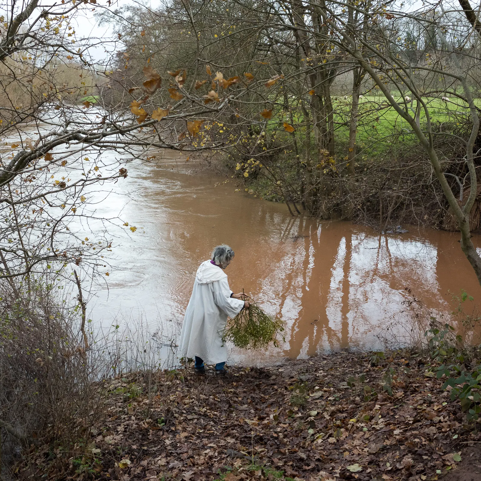 Tenbury Mistletoe Festival