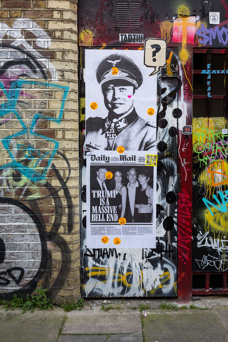 A poster of Elon Musk in a German military uniform, above a Daily Mail cover featuring Trump and Epstein