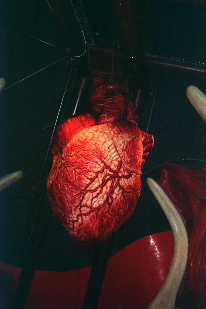A giant heart throbbed overhead inside the Body Zone