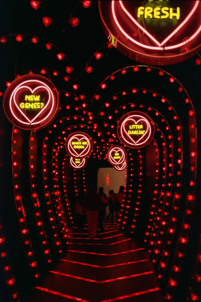 Entrance to the Living Island Zone through the whimsical "Tunnel of Love"
