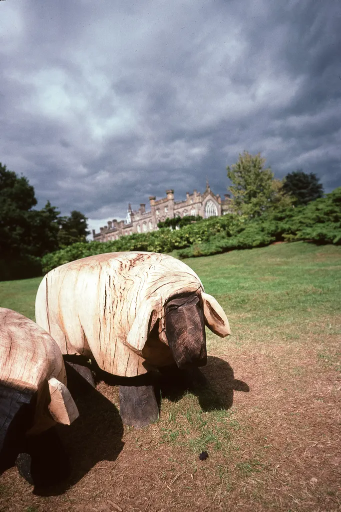 Kodachrome 64 sample photo