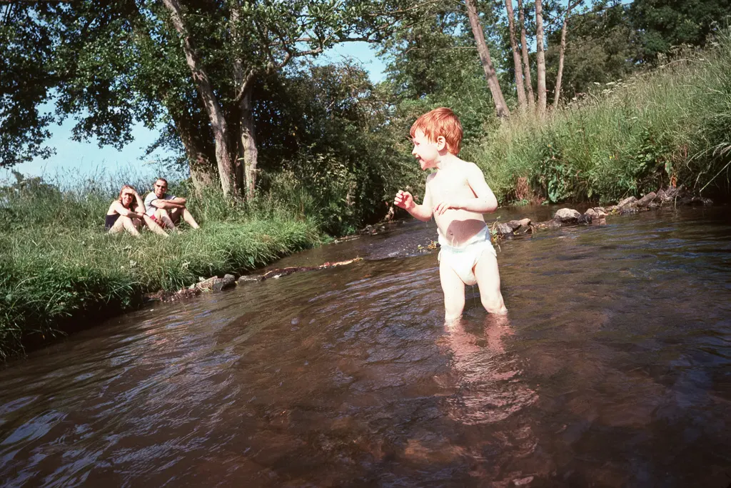 Kodachrome: Summer Greens